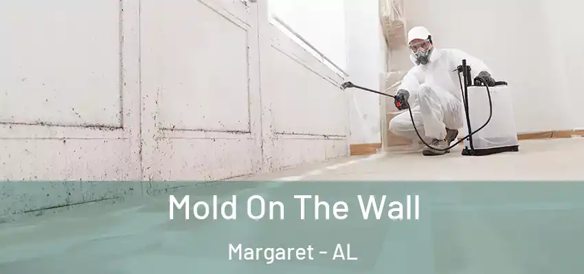  Mold On The Wall Margaret - AL