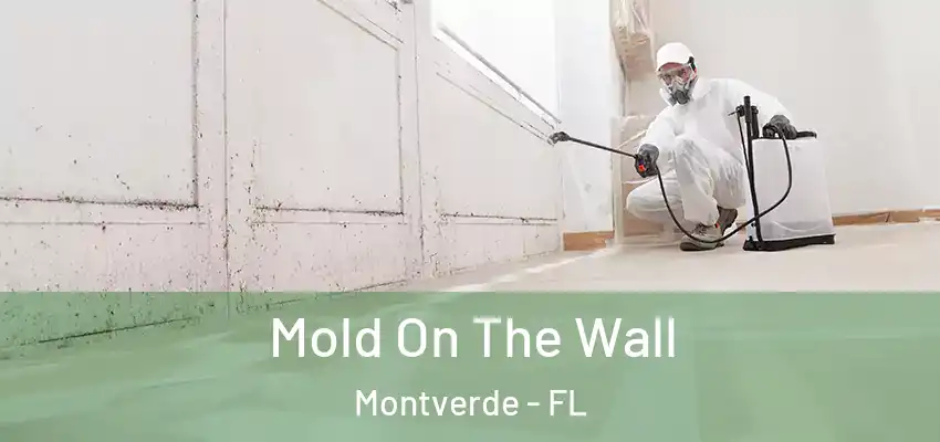  Mold On The Wall Montverde - FL