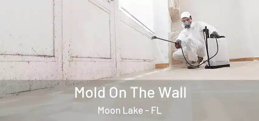  Mold On The Wall Moon Lake - FL