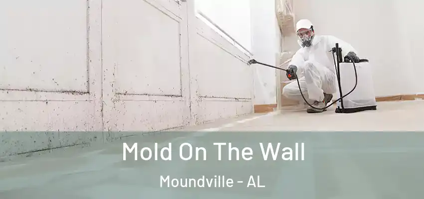 Mold On The Wall Moundville - AL