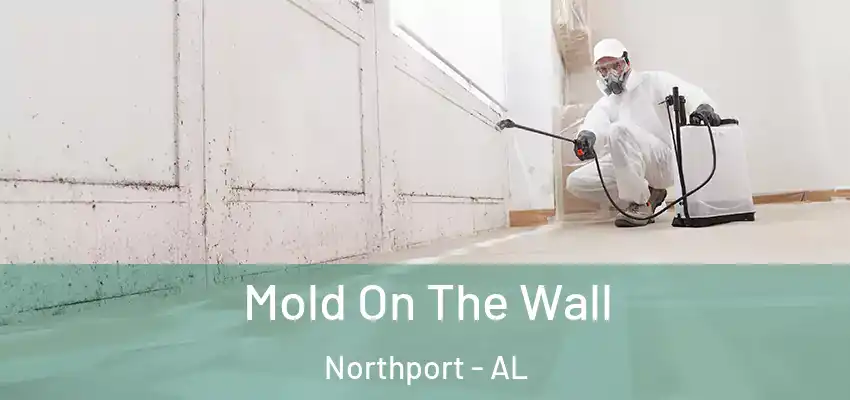 Mold On The Wall Northport - AL