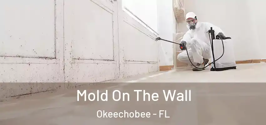  Mold On The Wall Okeechobee - FL