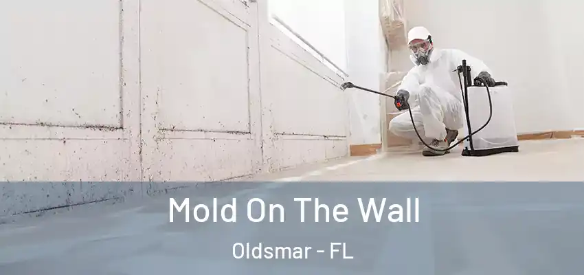  Mold On The Wall Oldsmar - FL