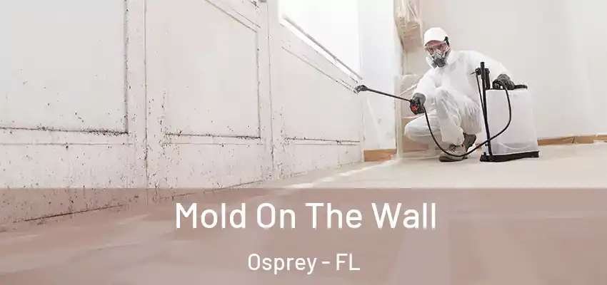  Mold On The Wall Osprey - FL