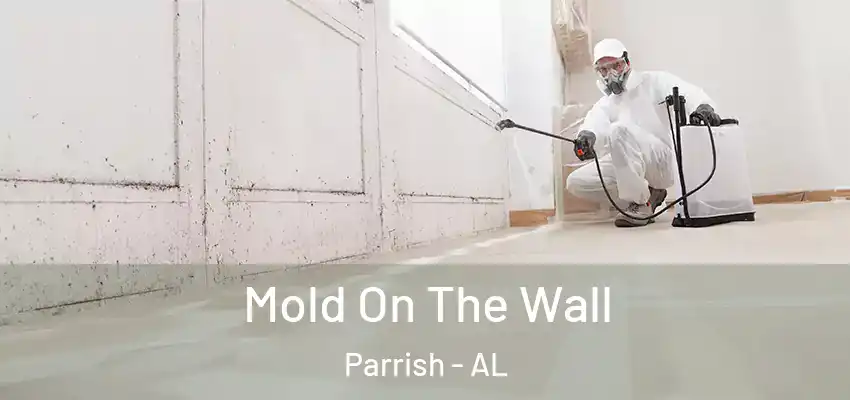 Mold On The Wall Parrish - AL