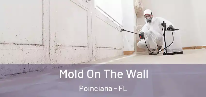 Mold On The Wall Poinciana - FL