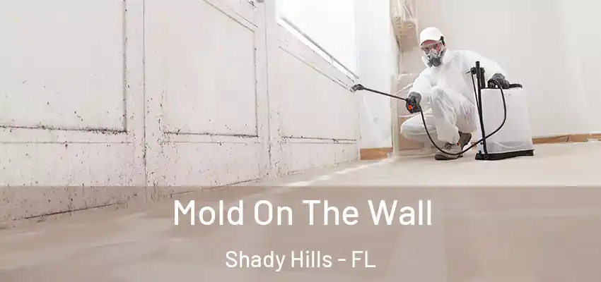  Mold On The Wall Shady Hills - FL