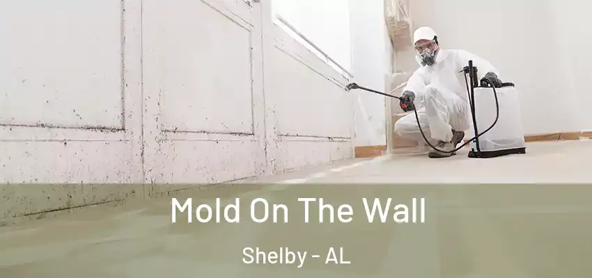  Mold On The Wall Shelby - AL