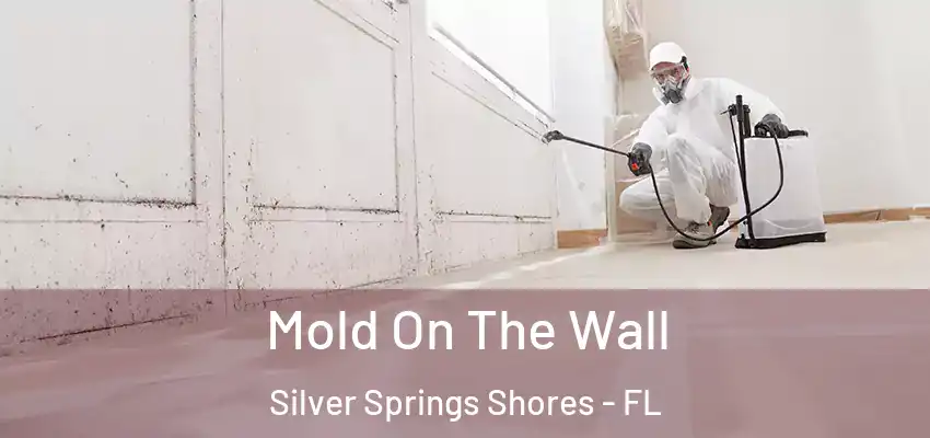  Mold On The Wall Silver Springs Shores - FL