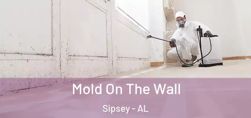 Mold On The Wall Sipsey - AL