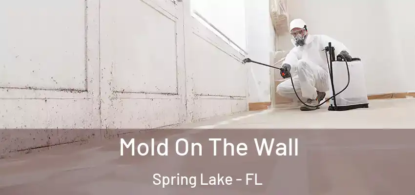  Mold On The Wall Spring Lake - FL