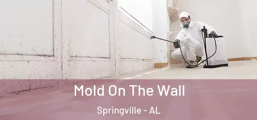 Mold On The Wall Springville - AL