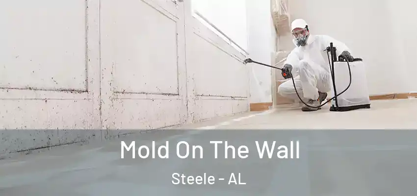  Mold On The Wall Steele - AL