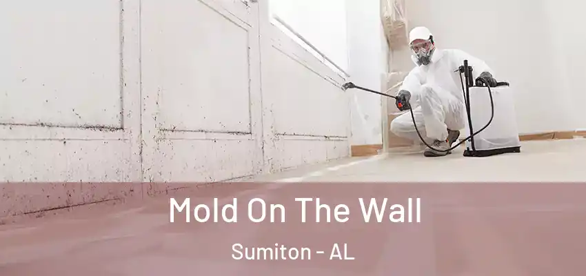 Mold On The Wall Sumiton - AL