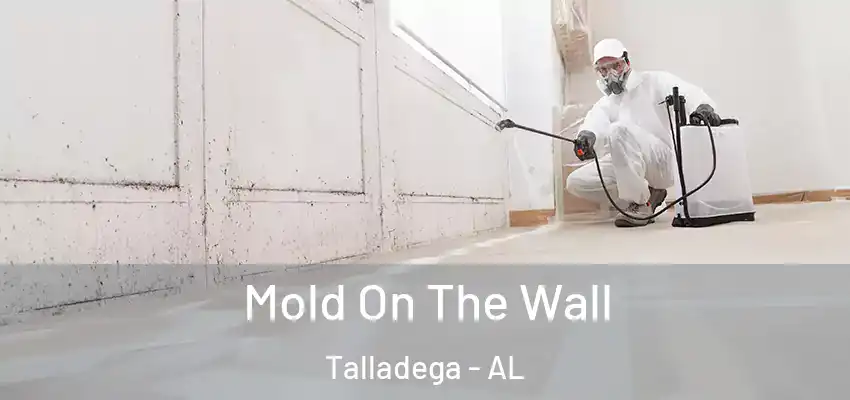  Mold On The Wall Talladega - AL