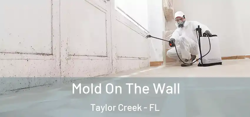  Mold On The Wall Taylor Creek - FL