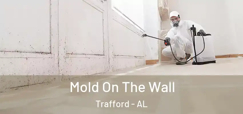  Mold On The Wall Trafford - AL