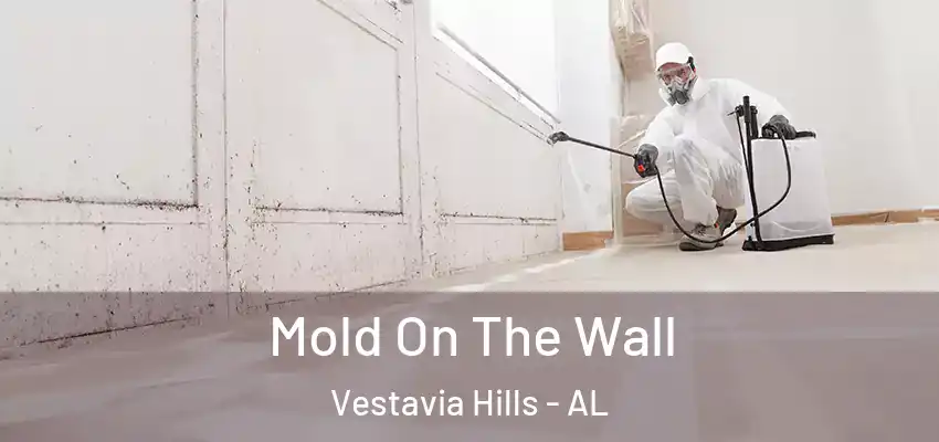  Mold On The Wall Vestavia Hills - AL