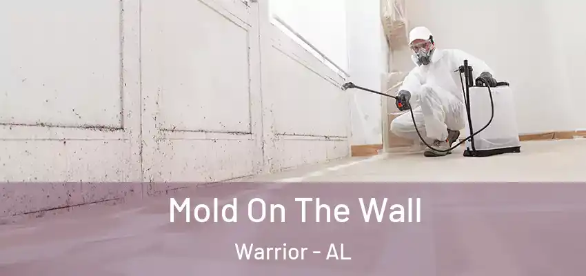  Mold On The Wall Warrior - AL