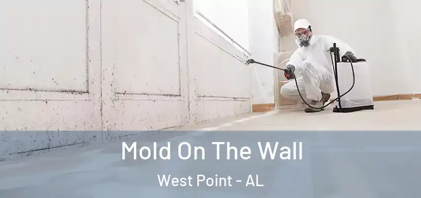  Mold On The Wall West Point - AL
