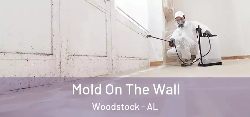  Mold On The Wall Woodstock - AL