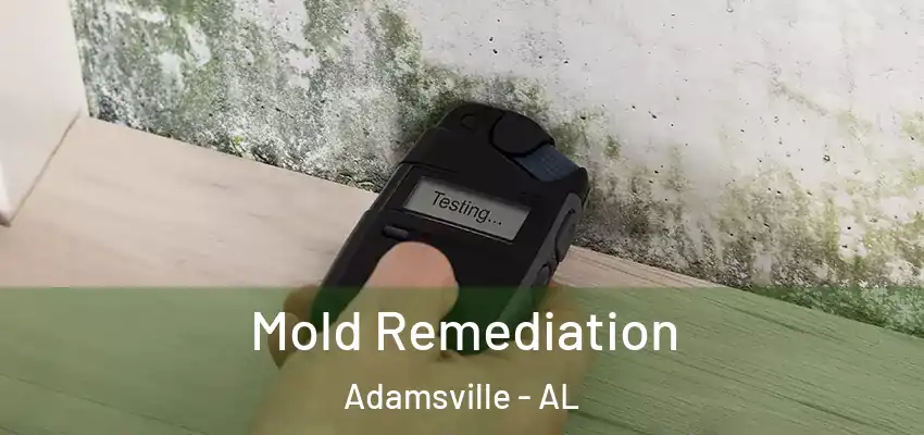 Mold Remediation Adamsville - AL