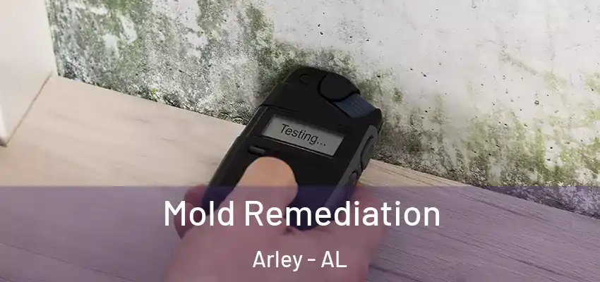  Mold Remediation Arley - AL