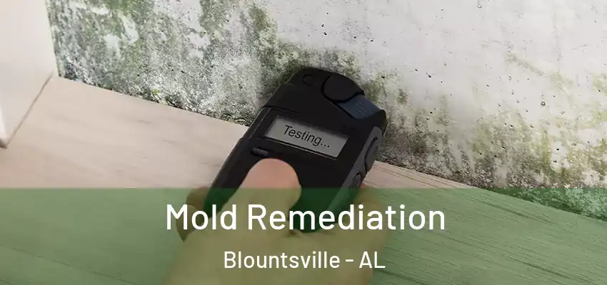 Mold Remediation Blountsville - AL