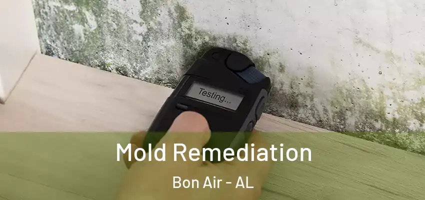 Mold Remediation Bon Air - AL