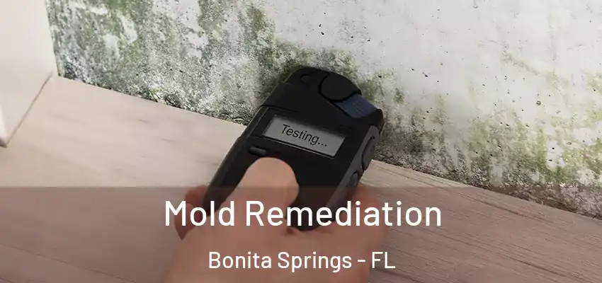  Mold Remediation Bonita Springs - FL