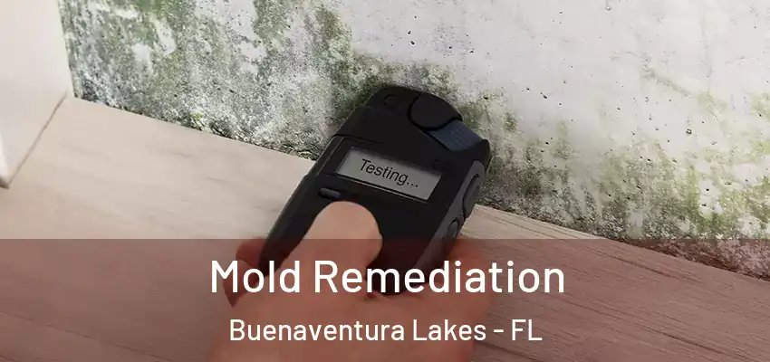 Mold Remediation Buenaventura Lakes - FL