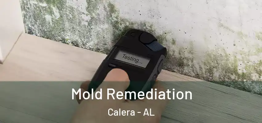  Mold Remediation Calera - AL