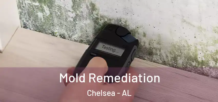 Mold Remediation Chelsea - AL