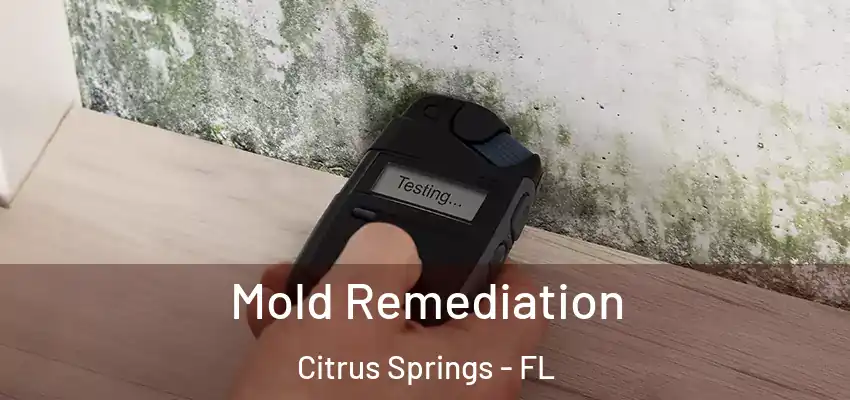  Mold Remediation Citrus Springs - FL