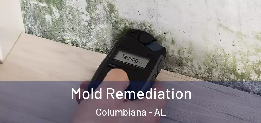 Mold Remediation Columbiana - AL