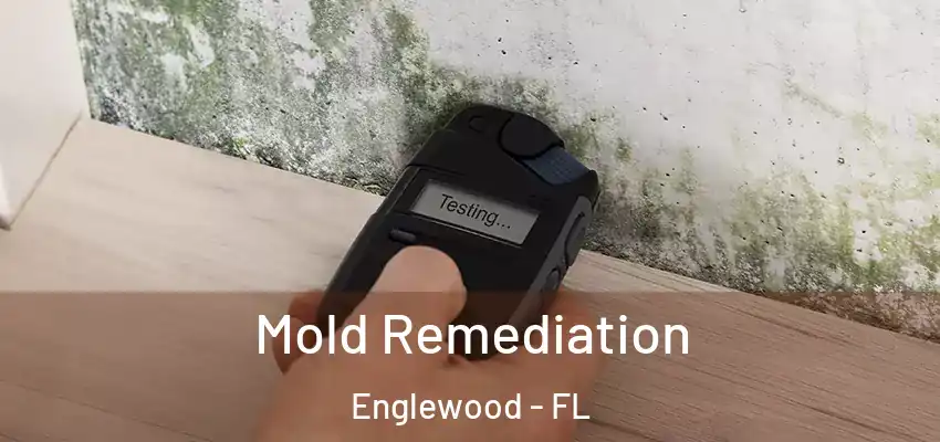  Mold Remediation Englewood - FL