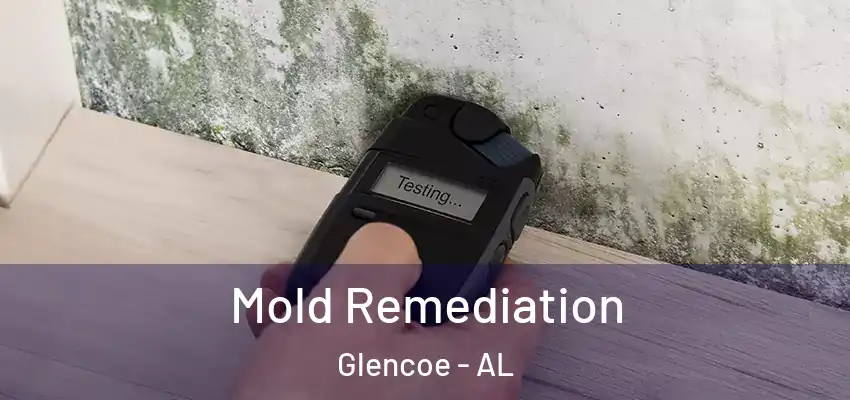  Mold Remediation Glencoe - AL