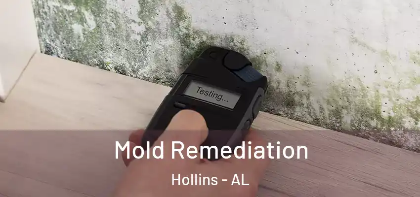 Mold Remediation Hollins - AL