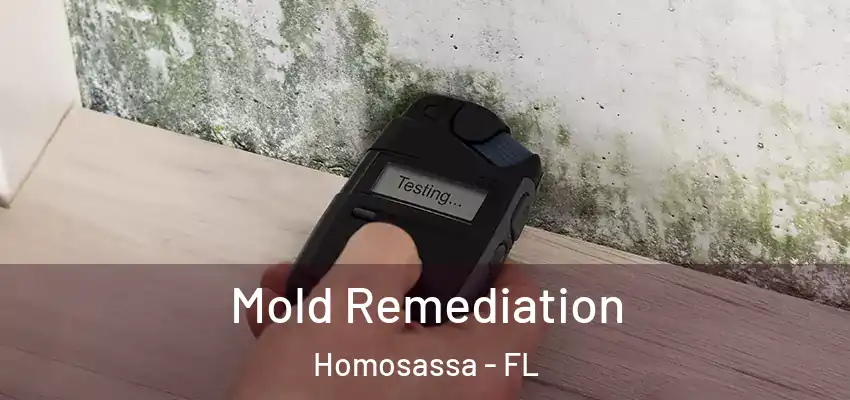  Mold Remediation Homosassa - FL