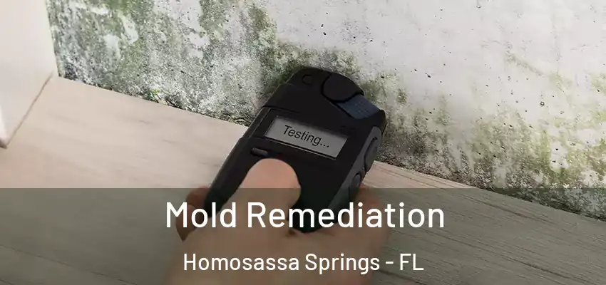  Mold Remediation Homosassa Springs - FL