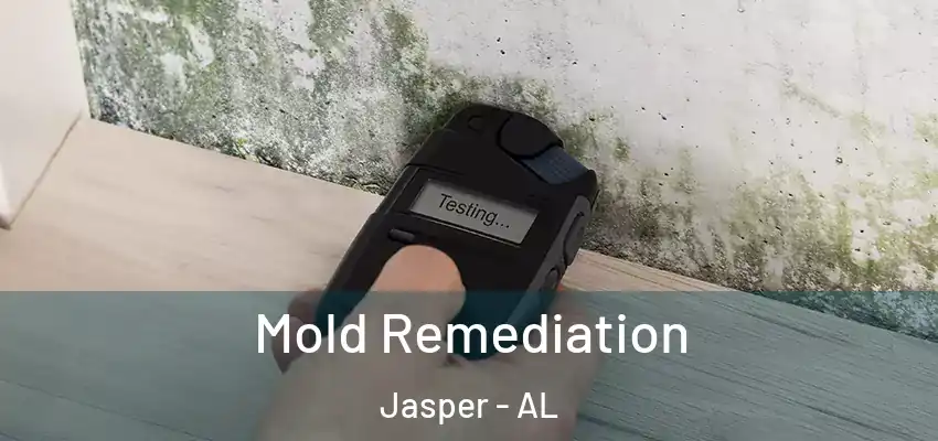  Mold Remediation Jasper - AL