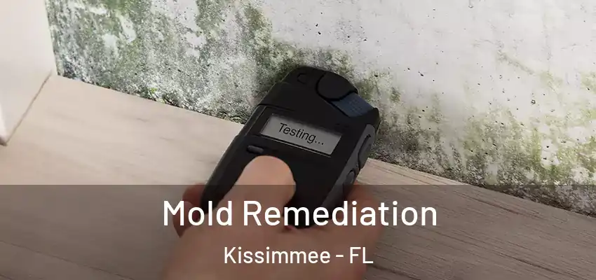  Mold Remediation Kissimmee - FL
