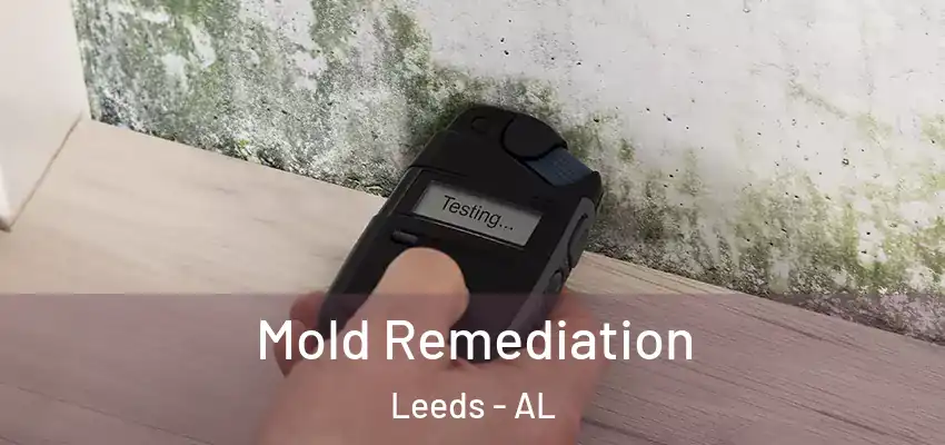  Mold Remediation Leeds - AL