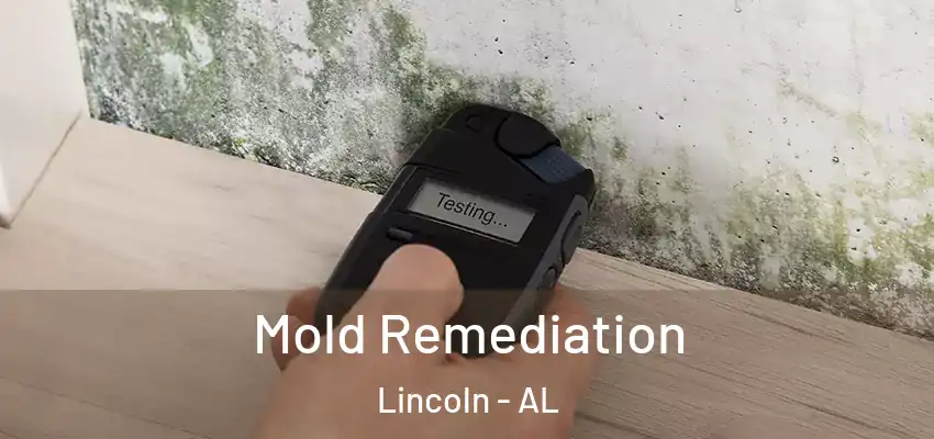  Mold Remediation Lincoln - AL
