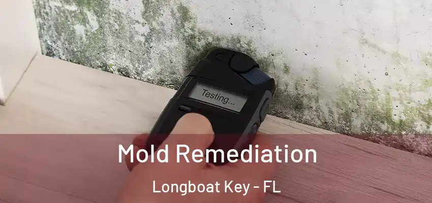  Mold Remediation Longboat Key - FL