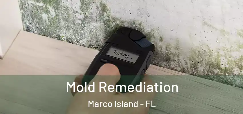  Mold Remediation Marco Island - FL