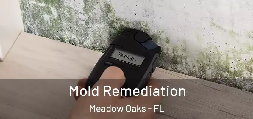  Mold Remediation Meadow Oaks - FL