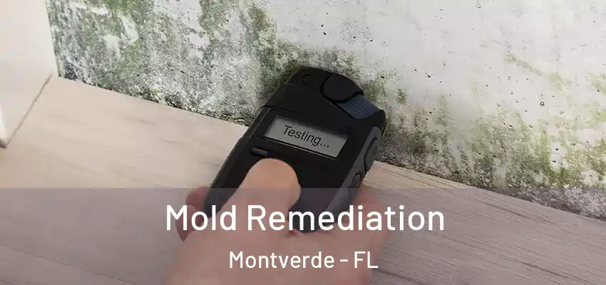  Mold Remediation Montverde - FL