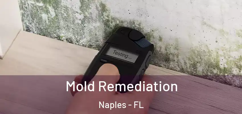  Mold Remediation Naples - FL
