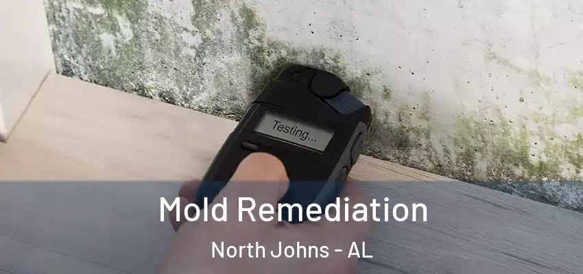 Mold Remediation North Johns - AL